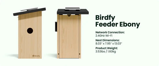 Nichoir connecté Ebony avec caméra IA Birdfy – Birdfy