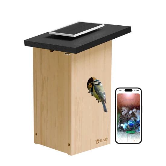 Nichoir connecté Ebony avec caméra IA Birdfy – Birdfy