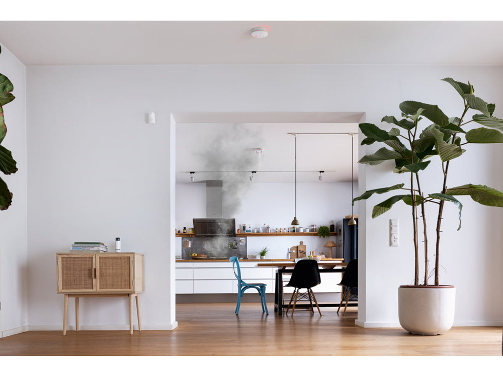 Détecteur de fumée II en situation