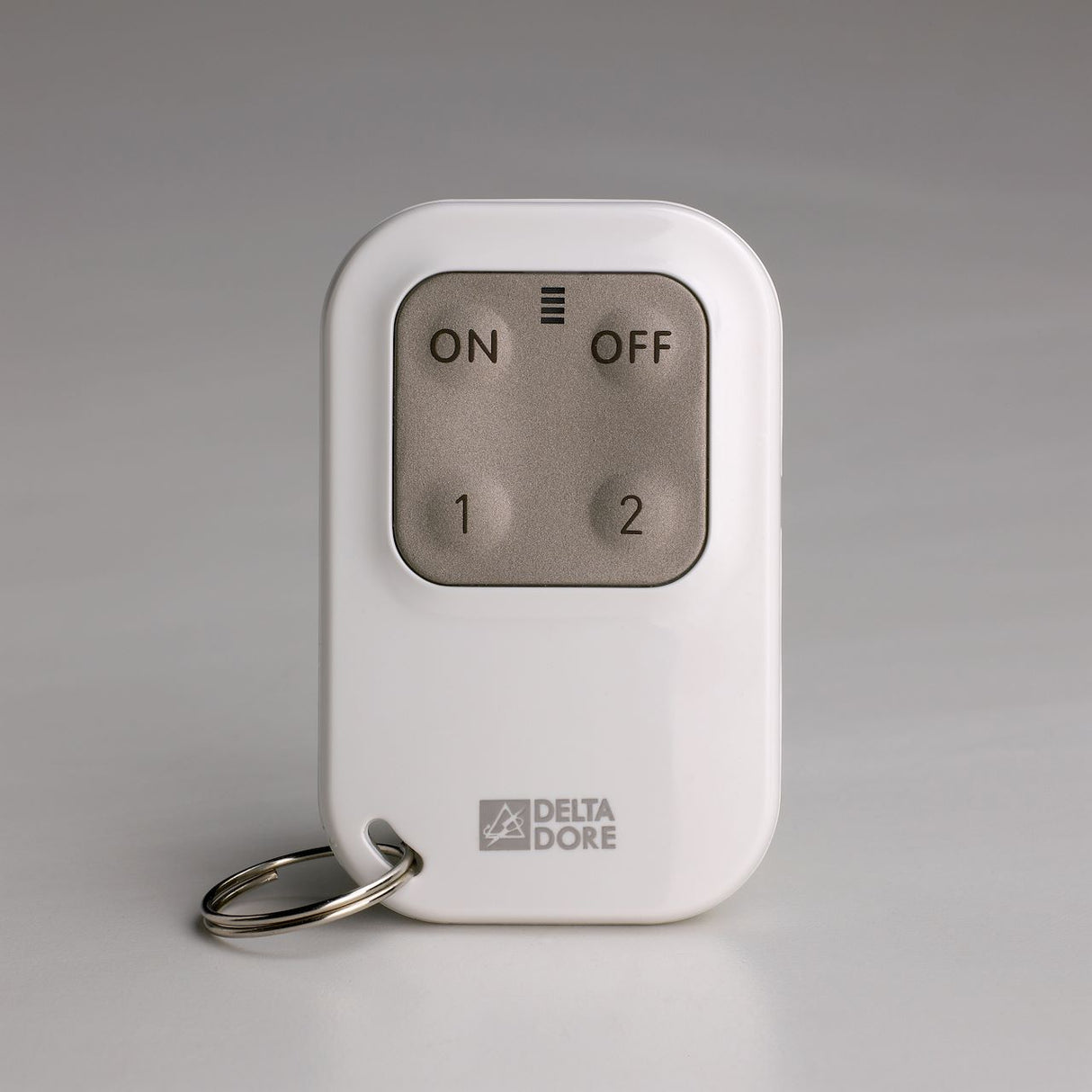Télécommande porte-clé pour système d'alarme TL2000- Delta Dore