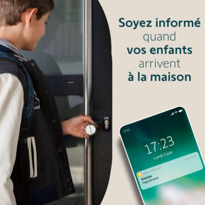 Badge télécommande compatible Home Alarm -Somfy