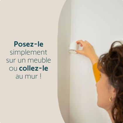 Détecteur de mouvement intérieur - compatible animaux et Home Alarm - Somfy