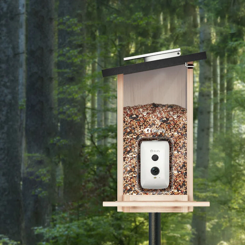 Mangeoire connectée Ebony Lite avec caméra IA Birdfy – Birdfy