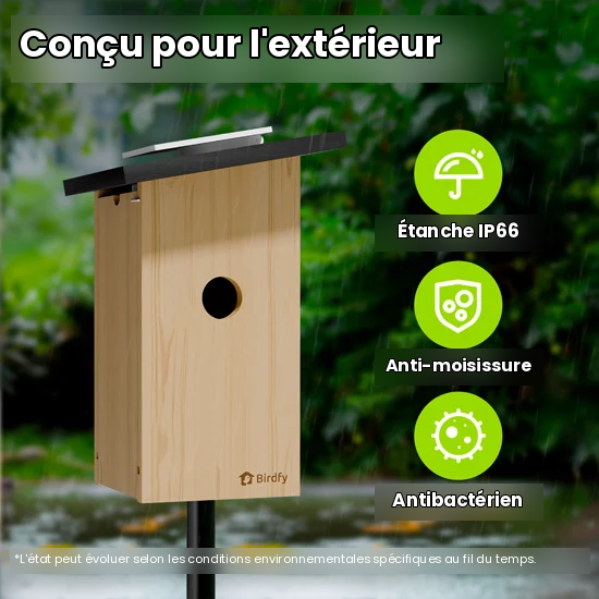 Nichoir connecté Ebony avec caméra IA Birdfy – Birdfy