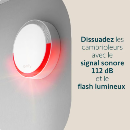 Sirène extérieure 112 dB - compatible Home Alarm - Somfy