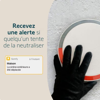 Sirène extérieure 112 dB - compatible Home Alarm - Somfy
