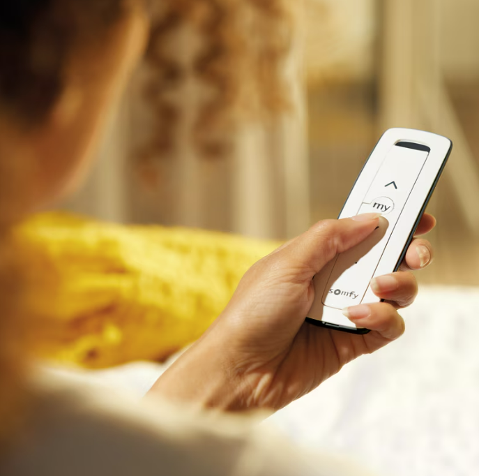 Télécommande Situo 1 RTS Pure 1870402 - Somfy