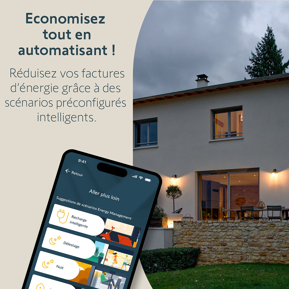 Capteur de consommation connecté Zigbee  - Somfy
