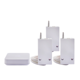 Pack RF 6600 FP connecté - 3 récepteurs RF 6600 FP + 1 box connectée Tydom Home - 6050658 - Delta Dore