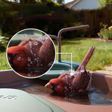 Bain d’oiseaux connecté solaire avec caméra IA Birdfy Jolly View – Birdfy