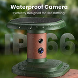 Bain d’oiseaux connecté solaire avec caméra IA Birdfy Jolly View – Birdfy
