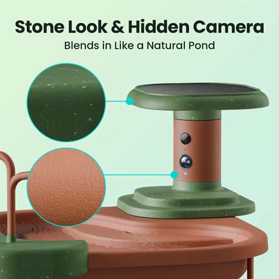Bain d’oiseaux connecté solaire avec caméra IA Birdfy Jolly View – Birdfy