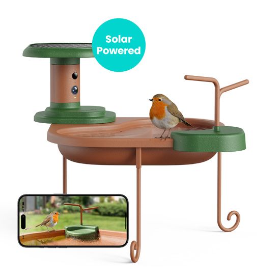 Bain d’oiseaux connecté solaire avec caméra IA Birdfy Jolly View – Birdfy