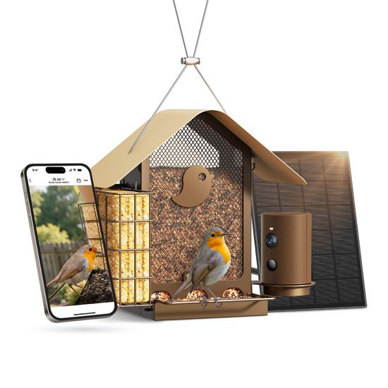 Mangeoire connectée métal avec caméra IA et panneau solaire Birdfy – Birdfy