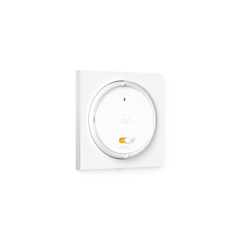 Amy 1 RS100 io cadre - télécommande - Somfy
