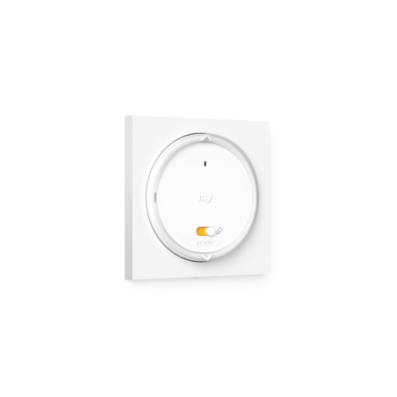 Amy 1 RS100 io cadre - télécommande - Somfy