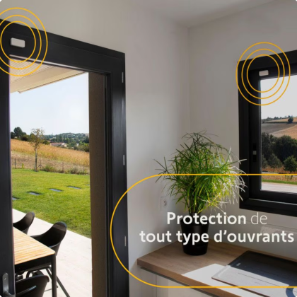 IntelliTAG - Détecteur d'ouverture compatible Home Alarm - Somfy