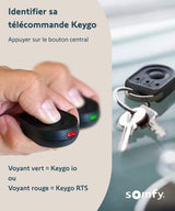 Télécommande de portail et porte de garage Keygo® RTS 4 canaux - Somfy