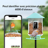 Mangeoire connectée avec caméra IA et panneau solaire Birdfy – Birdfy