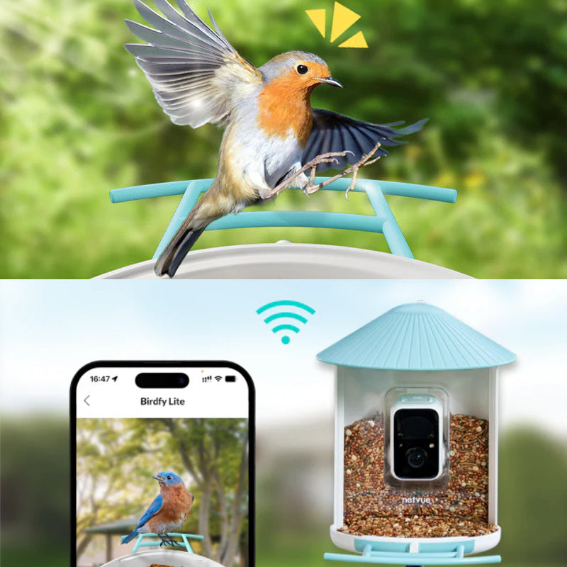 Mangeoire connectée avec caméra IA et panneau solaire Birdfy – Birdfy