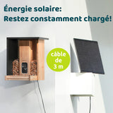 Mangeoire à oiseaux en bambou connectée avec caméra IA et panneau solaire Birdfy – Birdfy