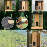 Mangeoire à oiseaux en bambou connectée avec caméra IA et panneau solaire Birdfy – Birdfy