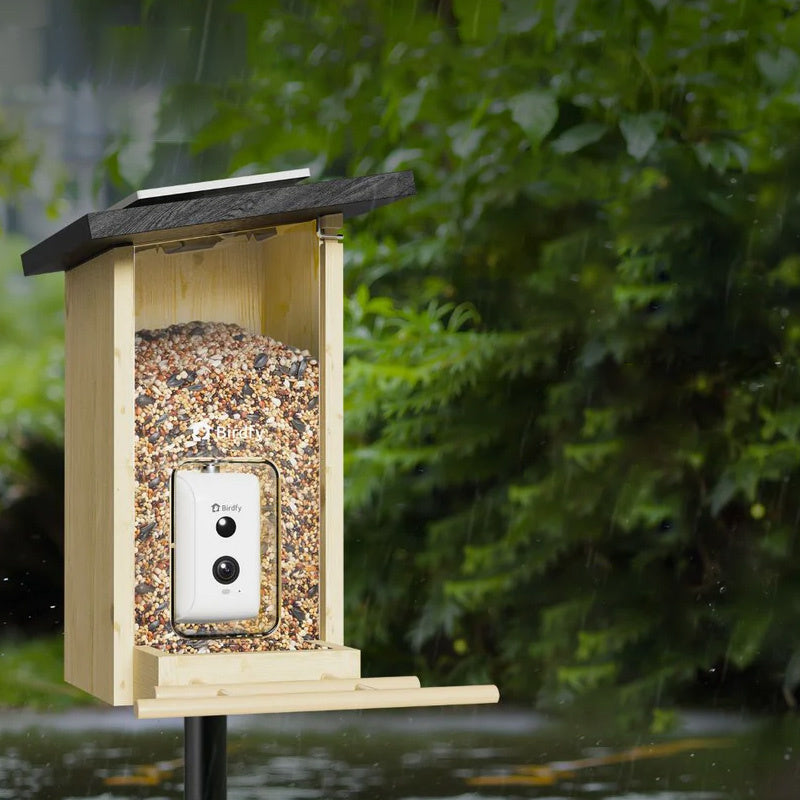 Mangeoire connectée Ebony Lite avec caméra IA Birdfy – Birdfy