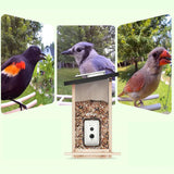 Mangeoire connectée Ebony Lite avec caméra IA Birdfy – Birdfy