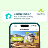 Mangeoire connectée Ebony Lite avec caméra IA Birdfy – Birdfy