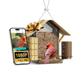 Mangeoire connectée métal avec caméra IA et panneau solaire Birdfy – Birdfy