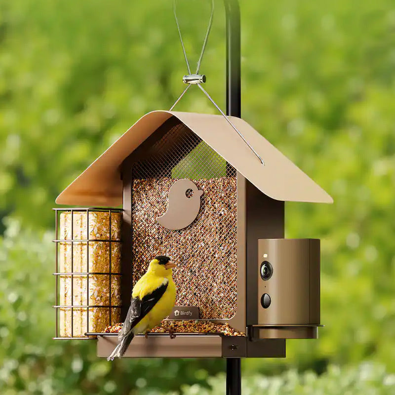 Mangeoire connectée métal avec caméra IA et panneau solaire Birdfy – Birdfy
