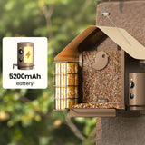 Mangeoire connectée métal avec caméra IA et panneau solaire Birdfy – Birdfy