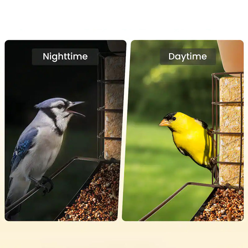 Mangeoire connectée métal avec caméra IA et panneau solaire Birdfy – Birdfy