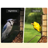 Mangeoire connectée métal avec caméra IA et panneau solaire Birdfy – Birdfy