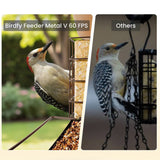 Mangeoire connectée métal avec caméra IA et panneau solaire Birdfy – Birdfy