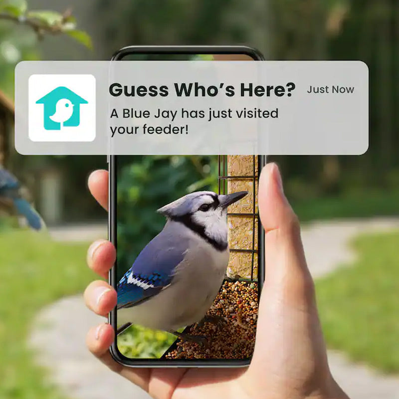 Mangeoire connectée métal avec caméra IA et panneau solaire Birdfy – Birdfy