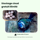 Nichoir connecté Ebony avec caméra IA Birdfy – Birdfy