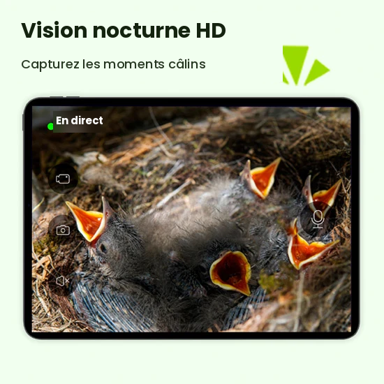 Nichoir connecté Ebony avec caméra IA Birdfy – Birdfy