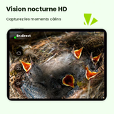 Nichoir connecté Ebony avec caméra IA Birdfy – Birdfy