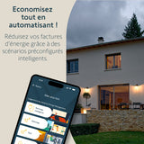 Capteur de consommation pour compteur Linky